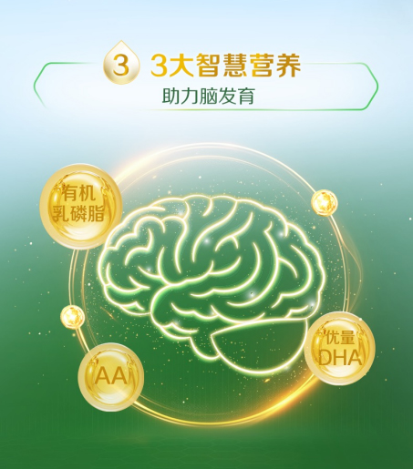 未标题-1_08.jpg