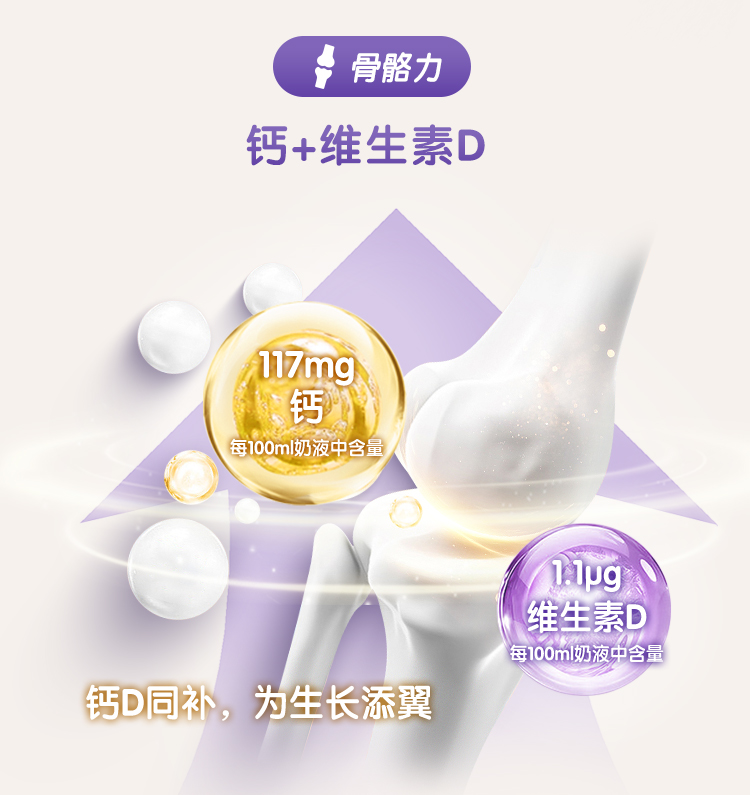 黄底6_08.jpg