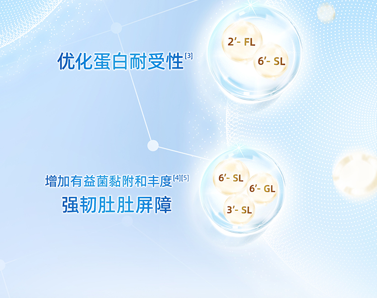 CLS2_06.jpg